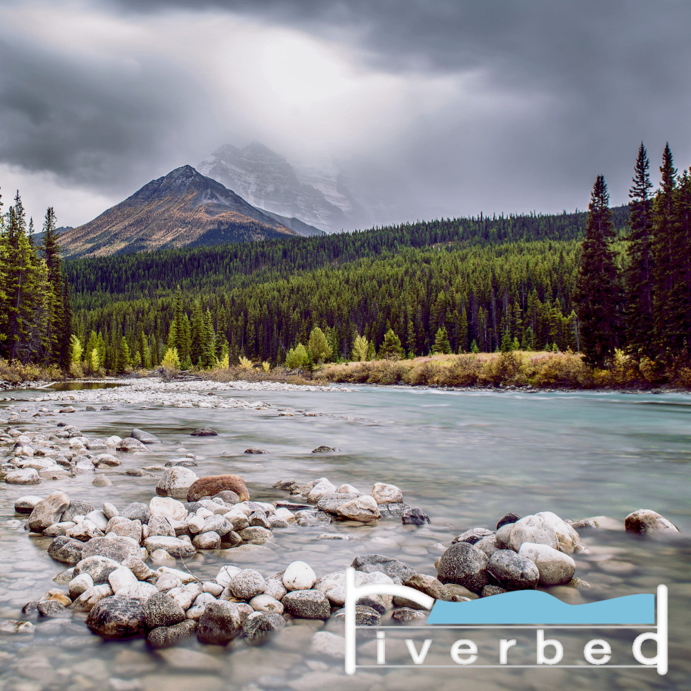 Riverbed Web App