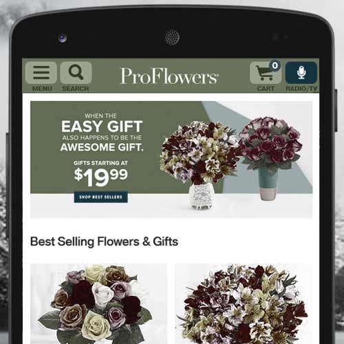 ProFlowers.com